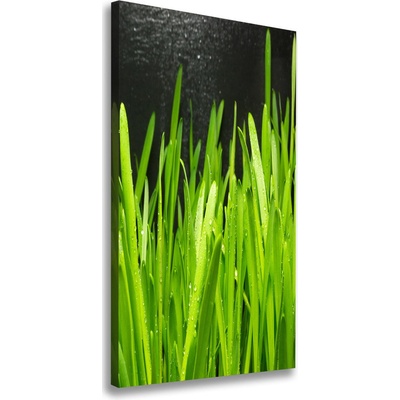 Vertikálny foto obraz canvas Steblo trávy 50x100 cm