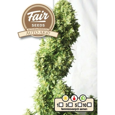 FAIR SEEDS AK47 AUTO semienka neobsahujú THC 3 ks