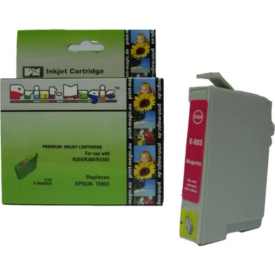 Compatible Epson T0553