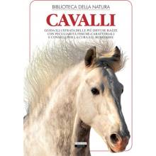 cavalli