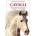 cavalli