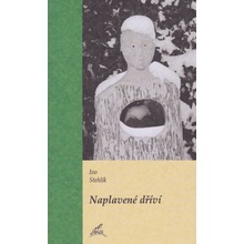 Naplavené dříví - Ivo Stehlík