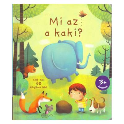 Mi az a kaki?