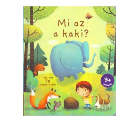 Mi az a kaki?
