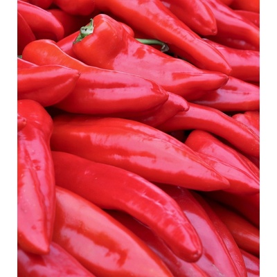 Paprika Lipari F1 - Capsicum annuum - semienka - 5 ks