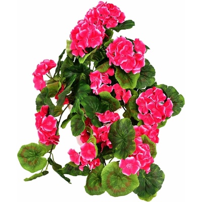 BerryHome Muškát previsnutý ružový v keramickom kvetináči 50 × 35 cm