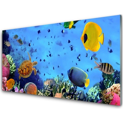 Obraz na skle Korálový Útes Ryba Příroda 100x50 cm