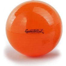 Physio Ball Standard 120cm