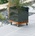 Nortene Подвижна поставка за цветя Nortene FLORA ROLL LASURE 30 см
