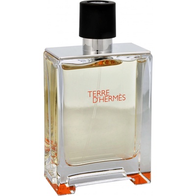 Hermès Terre D´Hermès toaletná voda pánska 200 ml tester
