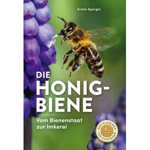 Die Honigbiene (ISBN: 9783818609740)