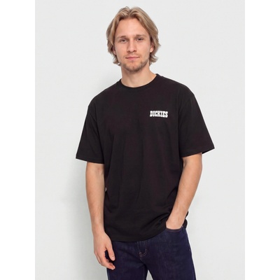 Dickies Plain City Black