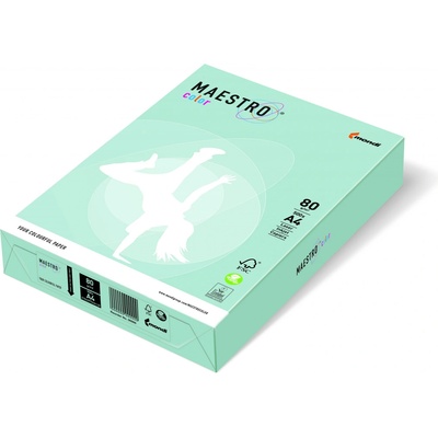 Maestro 010780