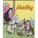 Mačky