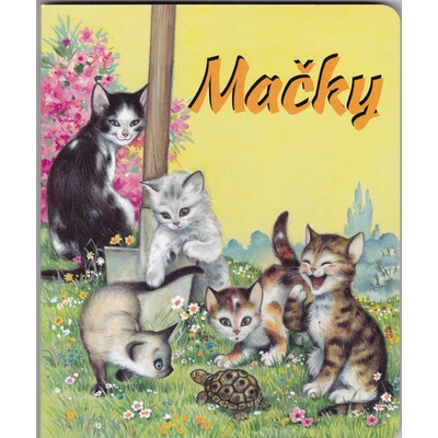 Mačky