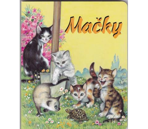 Mačky