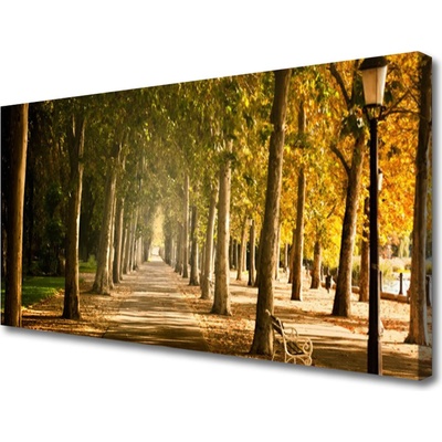Obraz na plátně Park Alej Krajina 100x50 cm