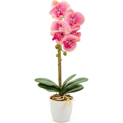 GLOBIZ Umelá orchidea 48cm - ružová