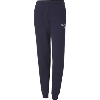 PUMA Teamgoal 23 casuals pants jr 140