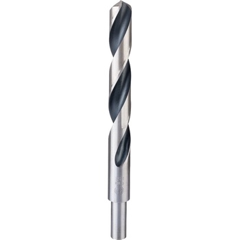 Bosch 2608577313