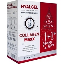 Hyalgel Collagen Maxx Vianočné balenie pomaranč 2 x 500 ml