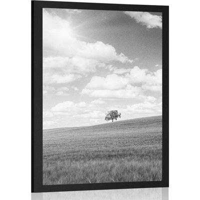 Plakát nádherný slunečný den na louce v černobílém provedení - 20x30 white