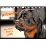 Calvendo Rottweiler Portait Shots 2026 (Wall Calendar 2026 DIN A4 landscape), CALVENDO 12 Month Wall Calendar | Calvendo, WT images