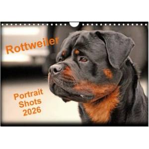 Calvendo Rottweiler Portait Shots 2026 (Wall Calendar 2026 DIN A4 landscape), CALVENDO 12 Month Wall Calendar | Calvendo, WT images