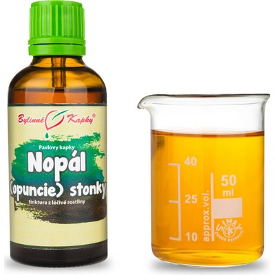 Nopál opuncie stonky kvapky tinktúra 50 ml