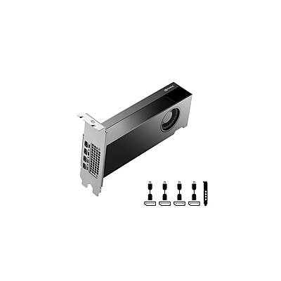 PNY Nvidia RTX 2000 16GB GDDR6 ADA Gen. LP (VCNRTX2000ADA-PB)