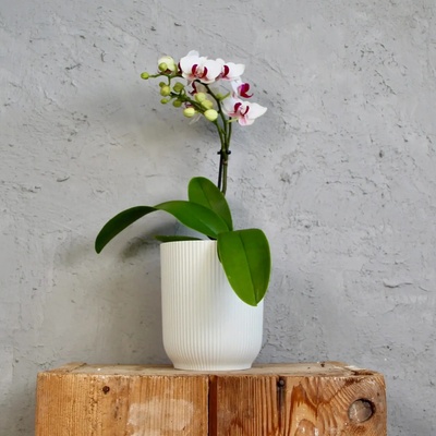 Elho plastový kvetináč Vibes Fold Orchid silky white Ø 13 cm