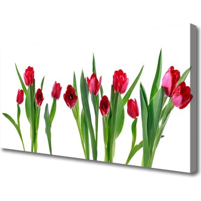 Obraz Canvas Tulipány kvety rastlina 100x50 cm