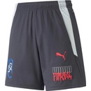 Puma NEYMAR JR Futebol short Jr