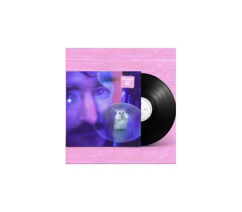 Bachratten - Durch Dich Durch LP