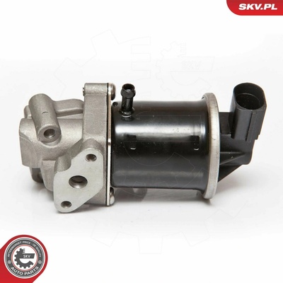 AGR - Ventil ESEN SKV 14SKV074