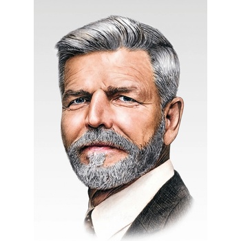Obraz prezidenta