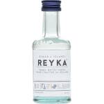 Reyka Рейка миниатюра