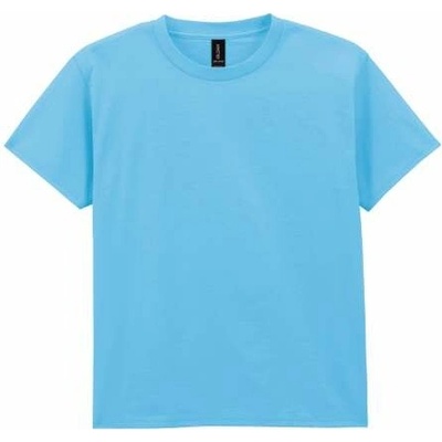 Gildan Light Cotton 3000B Sky Blue