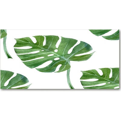 Fotoobraz na skle Monstera 100x50 cm