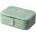 Silver Cat scs26002m