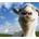 Goat Simulator PAYDAY