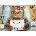 EUROGRAPHICS - Puzzle Feline Felon - 500 piese