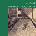 Demian Dorelli - Echoes On Solo Piano: Nick Drake's Five Leaves Left (LP) (8030482004281)