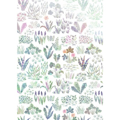 Komar Vliesová fototapeta Flower Farm rozměry 200 x 280 cm