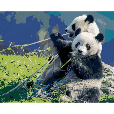 Zuty Malování Podle Čísel Panda A Bambus 80 x 100 Cm Plátno 8596530084747