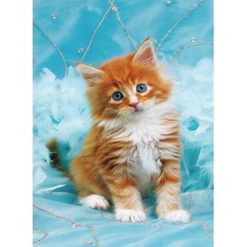 Norimpex - Puzzle Diamant painting: Red-haired kitten on a blue background 30x40 cm - 1 - 39 piese