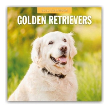 Browntrout Verlags GmbH Golden Retrievers - Golden Retriever 2026 - 16-Monatskalender | Red Robin Publishing Ltd