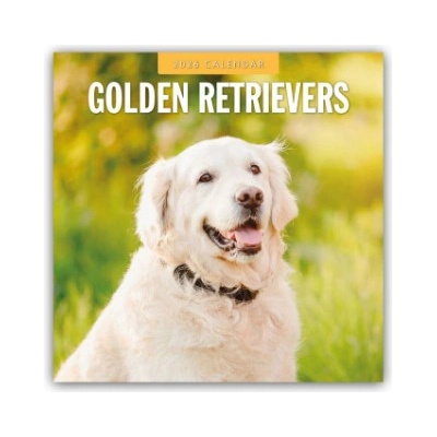 Browntrout Verlags GmbH Golden Retrievers - Golden Retriever 2026 - 16-Monatskalender | Red Robin Publishing Ltd