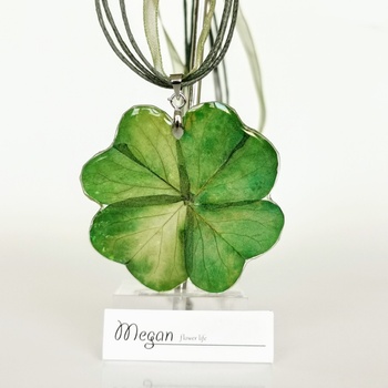 Meganflo ДЕТЕЛИНА