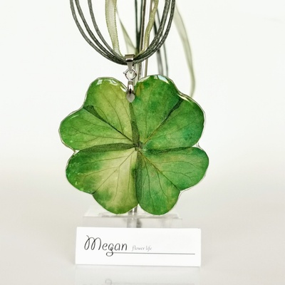 Meganflo ДЕТЕЛИНА